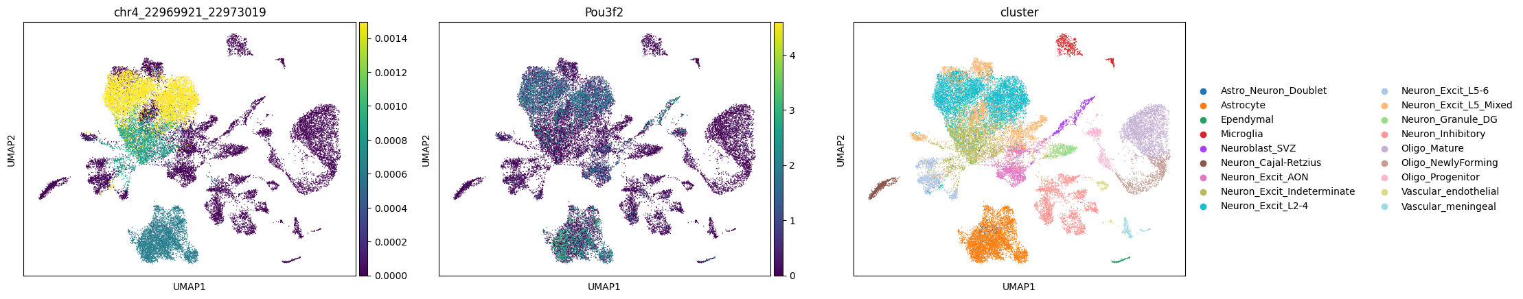 ../../_images/tutorials_notebooks_Mouse_cortex_Example_43_1.png